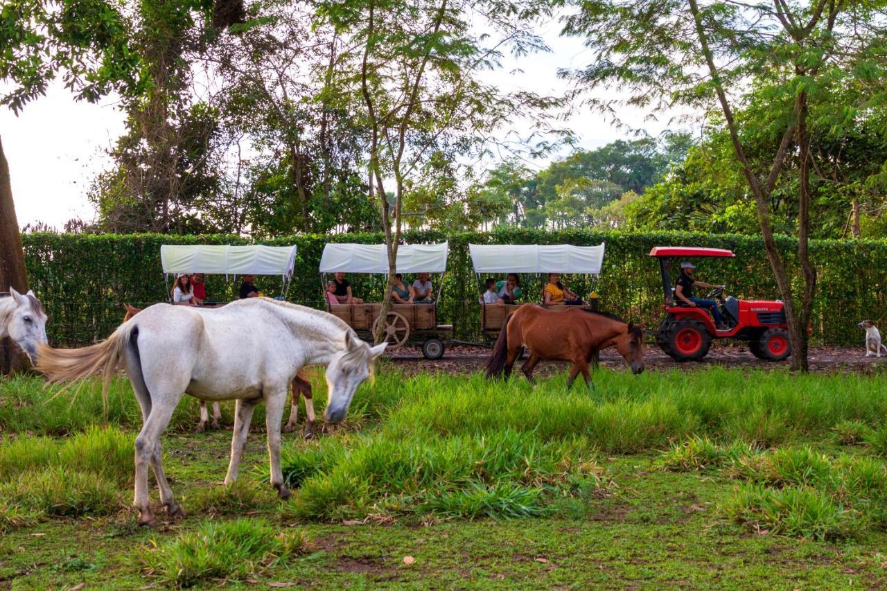 Hotel Campestre La Potra Apiay Eksteriør billede
